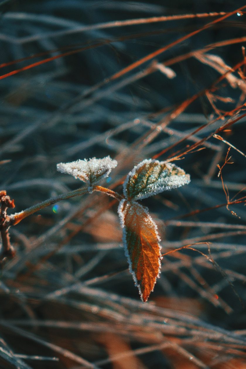 Nature Photography, Margarita Sheremet