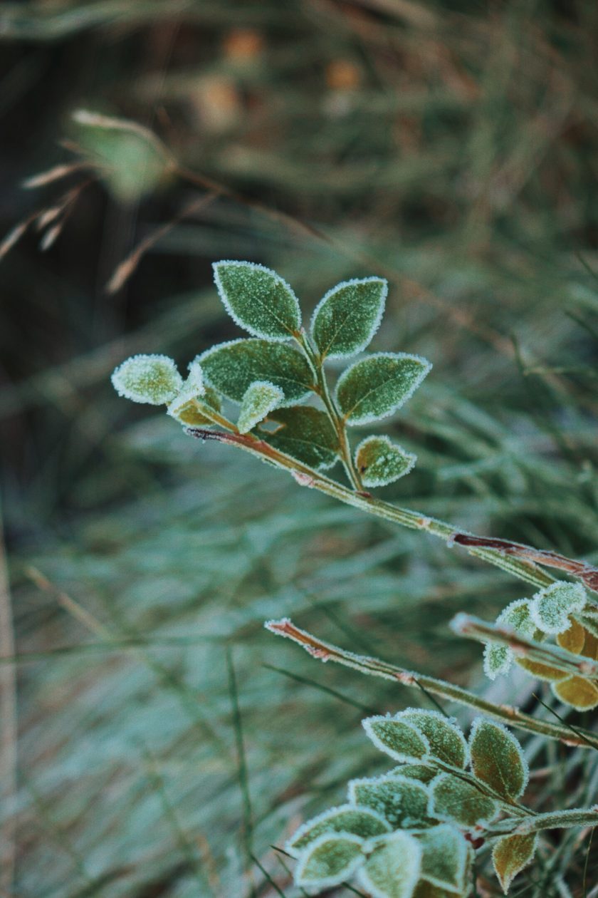 Nature Photography, Margarita Sheremet